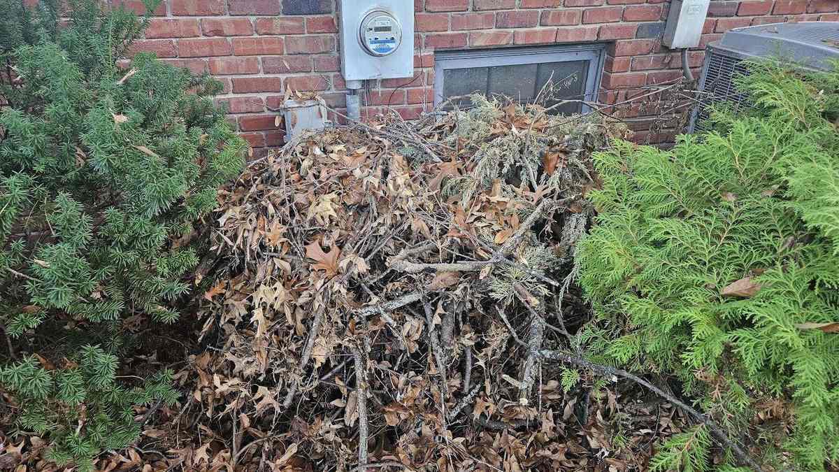 A large outdoor pile of mixed debris and household materials ready for removal.